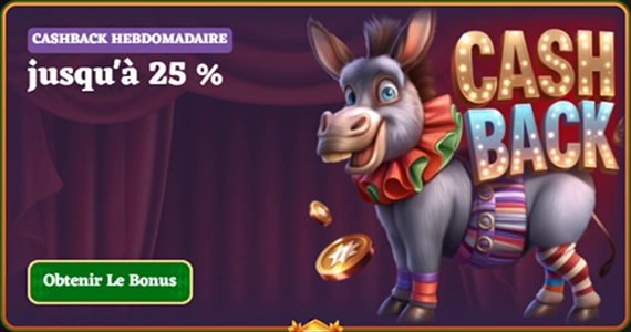 bonus-5